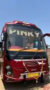 PINKY GUDIYA TRAVELS AND CARGO Bus-Front Image
