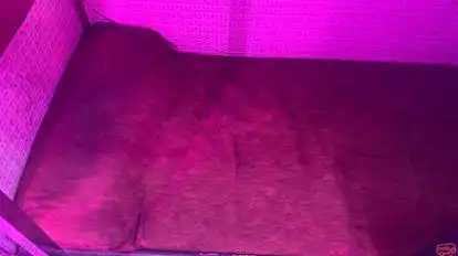 Laxmi Tours And Travels Bus-Seats Image