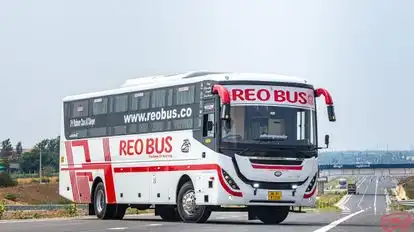 REO BUS Bus-Side Image