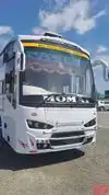 Momai Travels Bus-Front Image