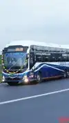 Delta Transports Pvt Ltd Bus-Front Image