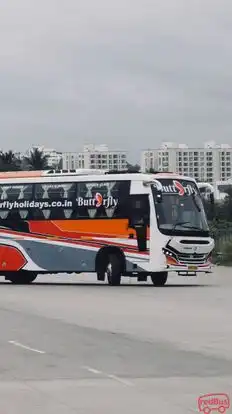 Butterfly Holidays Bus-Side Image