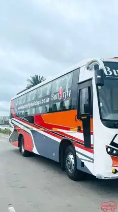 Butterfly Holidays Bus-Side Image