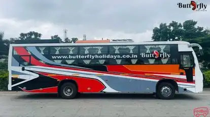 Butterfly Holidays Bus-Side Image