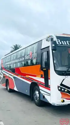 Butterfly Holidays Bus-Side Image