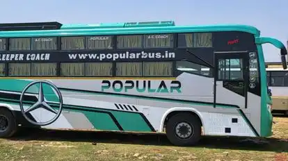 Popular Bus Service Bus-Side Image
