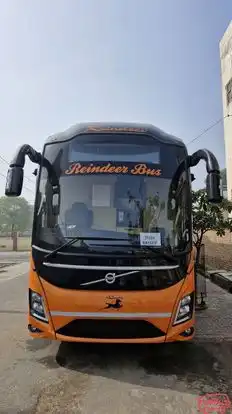 REINDEER TRANSIT Bus-Front Image