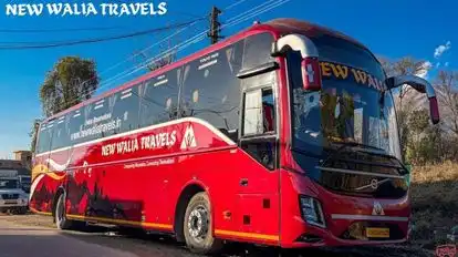 New Walia Travels Bus-Front Image