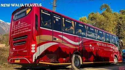 New Walia Travels Bus-Seats layout Image