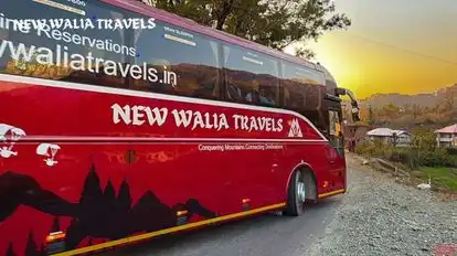 New Walia Travels Bus-Side Image
