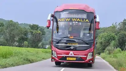 New Walia Travels Bus-Front Image