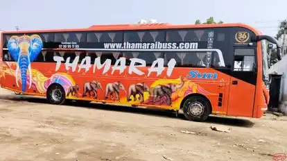 THAMARAI BUS TRANSPORTS Bus-Front Image