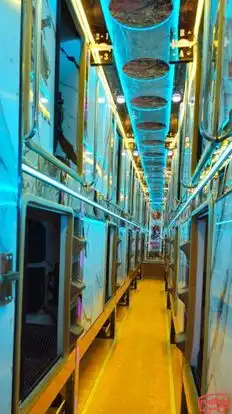 Maharana Travels Bus-Seats layout Image