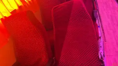 Shree Jee Bus Bus-Seats Image