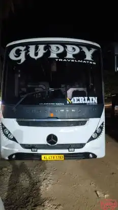 MERLIN CONNECT Bus-Front Image