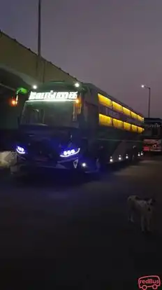 Vengai Tours and Travels Bus-Seats layout Image