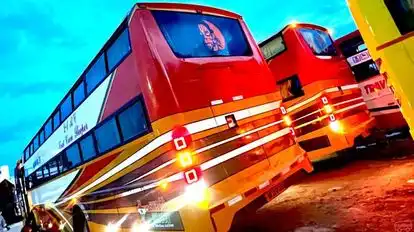 Manoj Tours and Travels Bus-Seats layout Image