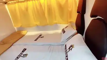 New Payal Travels Bus-Seats Image