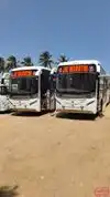 JAI MARUTHI TRAVELS Bus-Front Image