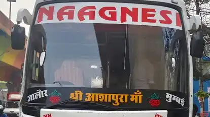 Shree Ashapura Travels Bus-Front Image