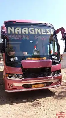 Shree Ashapura Travels Bus-Front Image