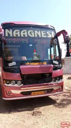 Shree Ashapura Travels  Bus-Front Image