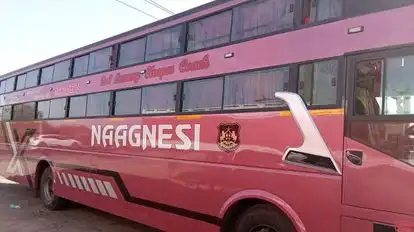 Shree Ashapura Travels  Bus-Side Image