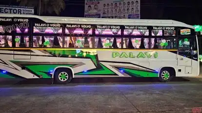 Palavi Tours and Travels  Bus-Side Image