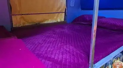 Parshwanath Travel Pvt. Ltd Bus-Seats Image