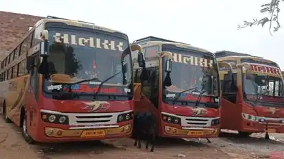 Salasar Bus Service  Bus-Side Image