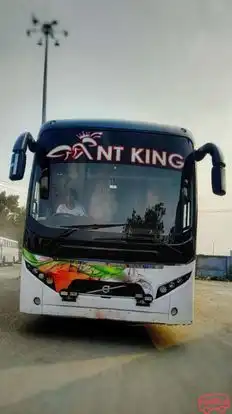 ANT KING Bus-Front Image