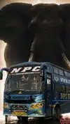 NPC TRAVELS Bus-Front Image