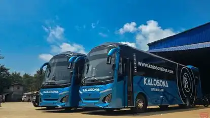 KALOSONA DREAMLINE Bus-Side Image