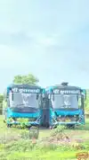 SHREE KULSWAMINI TRAVELS Bus-Front Image