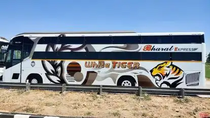 Bharat Express Bus-Side Image