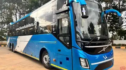 BLUE WHALE TRANSPORT SERVICE Bus-Side Image