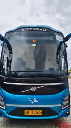 BLUE WHALE TRANSPORT SERVICE Bus-Front Image