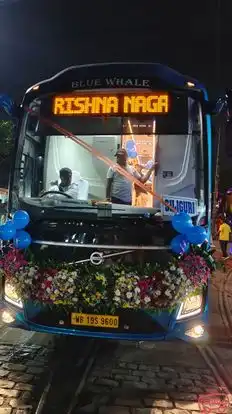 BLUE WHALE TRANSPORT SERVICE Bus-Front Image