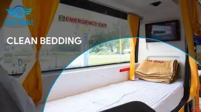 BLUE WHALE TRANSPORT SERVICE Bus-Front Image