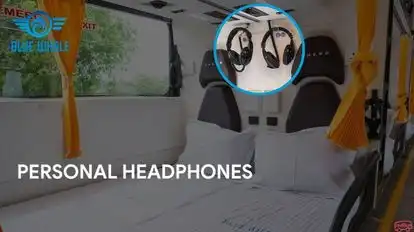 BLUE WHALE TRANSPORT SERVICE Bus-Seats Image