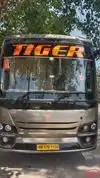 Tiger Travels & Cargo Bus-Front Image