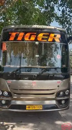 Tiger Travels & Cargo Bus-Front Image