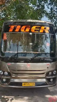 Tiger Travels & Cargo Bus-Front Image