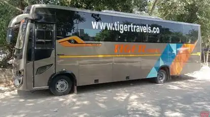 Tiger Travels & Cargo Bus-Side Image