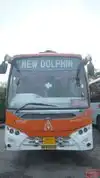 New Dolphin Travels Bus-Front Image