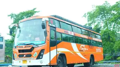 New Dolphin Travels Bus-Front Image