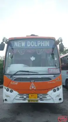 New Dolphin Travels Bus-Front Image
