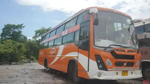 New Dolphin Travels Bus-Front Image