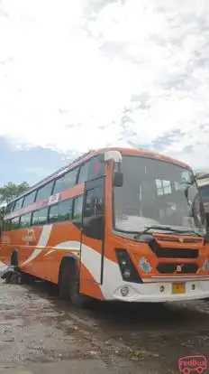 New Dolphin Travels Bus-Front Image