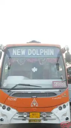 New Dolphin Travels Bus-Front Image